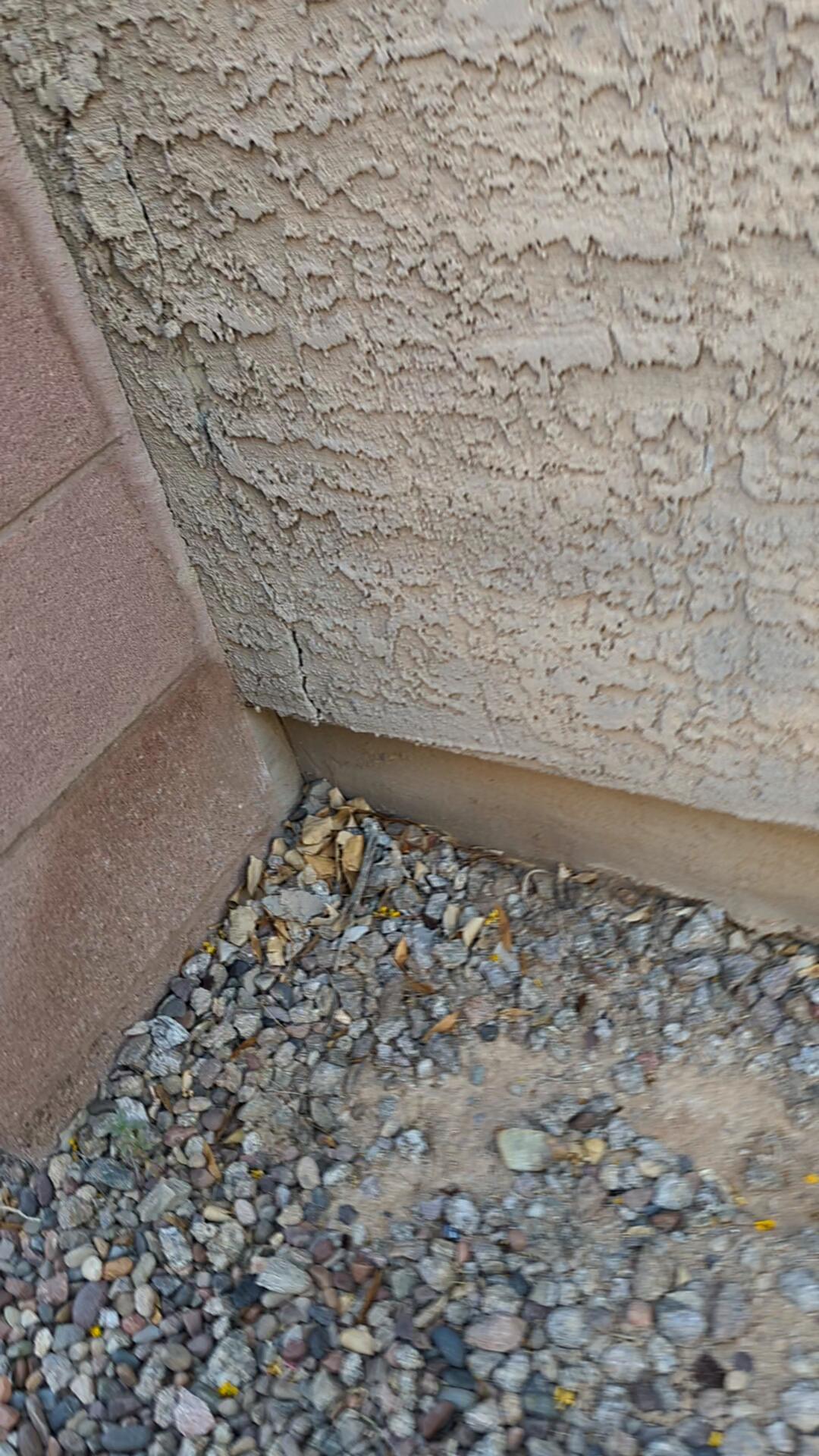 What to look for on your foundation. Termite mud shelter tubes!